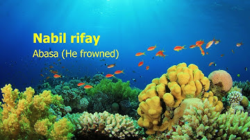 Nabil Rifay   Surah Abasa He frowned نبيل رفاعي   سورة  عبس
