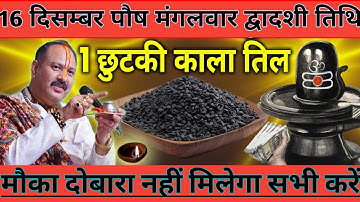 16 दिसंबर पौष मंगलवार द्वादशी तिथि के दिन 1 छुटकी काला तिल वाला उपाय जरुर करे || Pradeep Ji Mishra।।