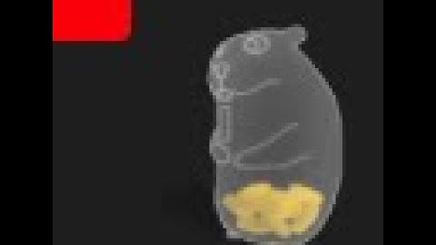 How to get Saving Jar Chomik