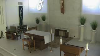 St. Patrick Catholic Church, Tampa, FL Ash Wednesday 2/18/26 8:30 AM