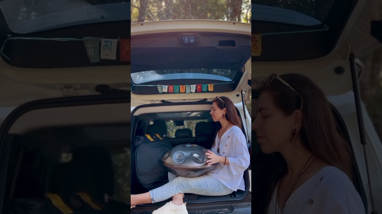 Enjoying the ride 🛸✨ | Handpan Music