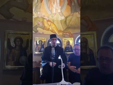Michail Kalaitzis: Αργή