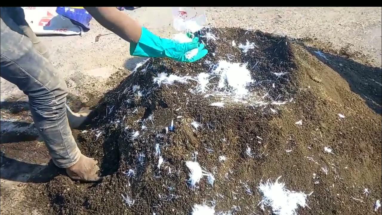 Use of glass fibres in Plaster why we use Fibre in concrete & Plaster