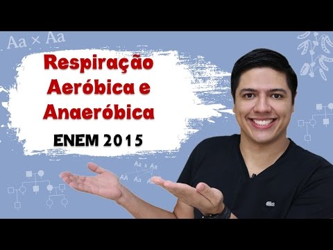 Vídeo: Respiração Anaeróbica E Aeróbica