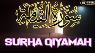 Surah Al-Qiyamah Ayat 30-40 Omar Hisham Al Arabi Beautifull Quran Recitation With Arabic Text