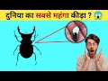 दुनिया का सबसे महंगा कीड़ा ? 😱#shorts #youtubeshorts