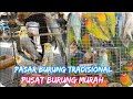 PASAR TRADISIONAL TERBESAR & PUSAT BURUNG MURAH DISINI- CEK HARGA KENARI TERBARU 2020