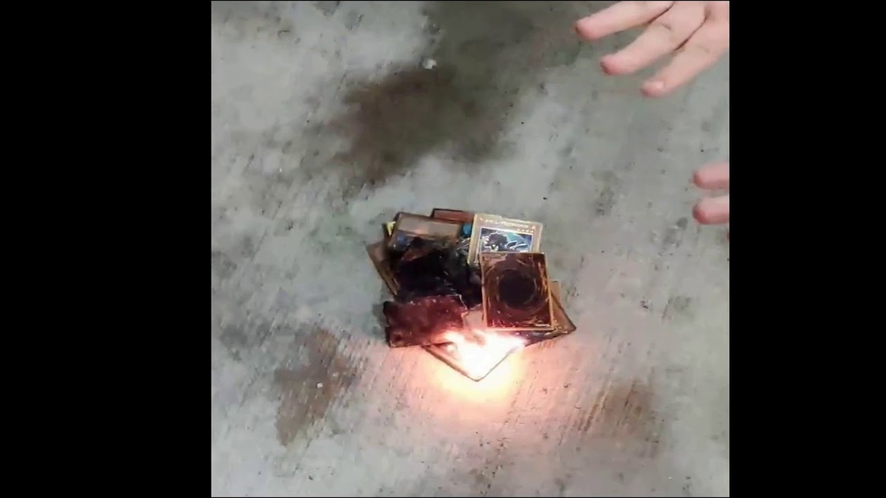 Dumb ygo players burn a pile of Miscellaneousaurus