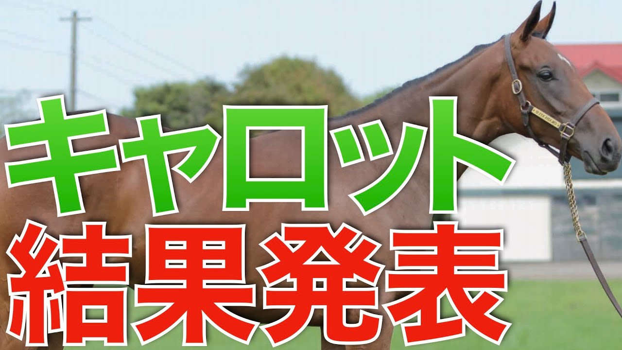 全頭満口 キャロットクラブの1次募集結果発表が来た 新規に回ったのはどの馬か 一口馬主 News Wacoca Japan People Life Style
