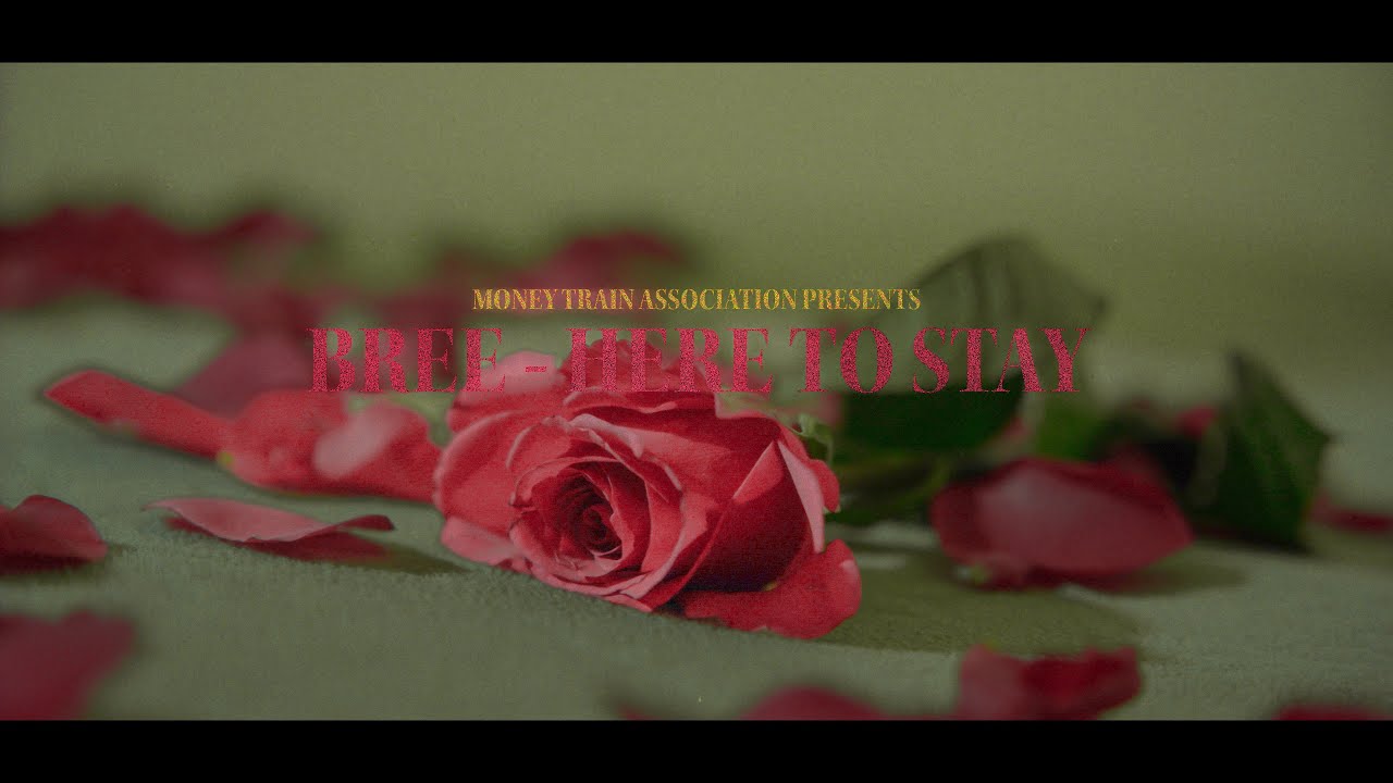 BREE - Here To Stay (Official Music Video)