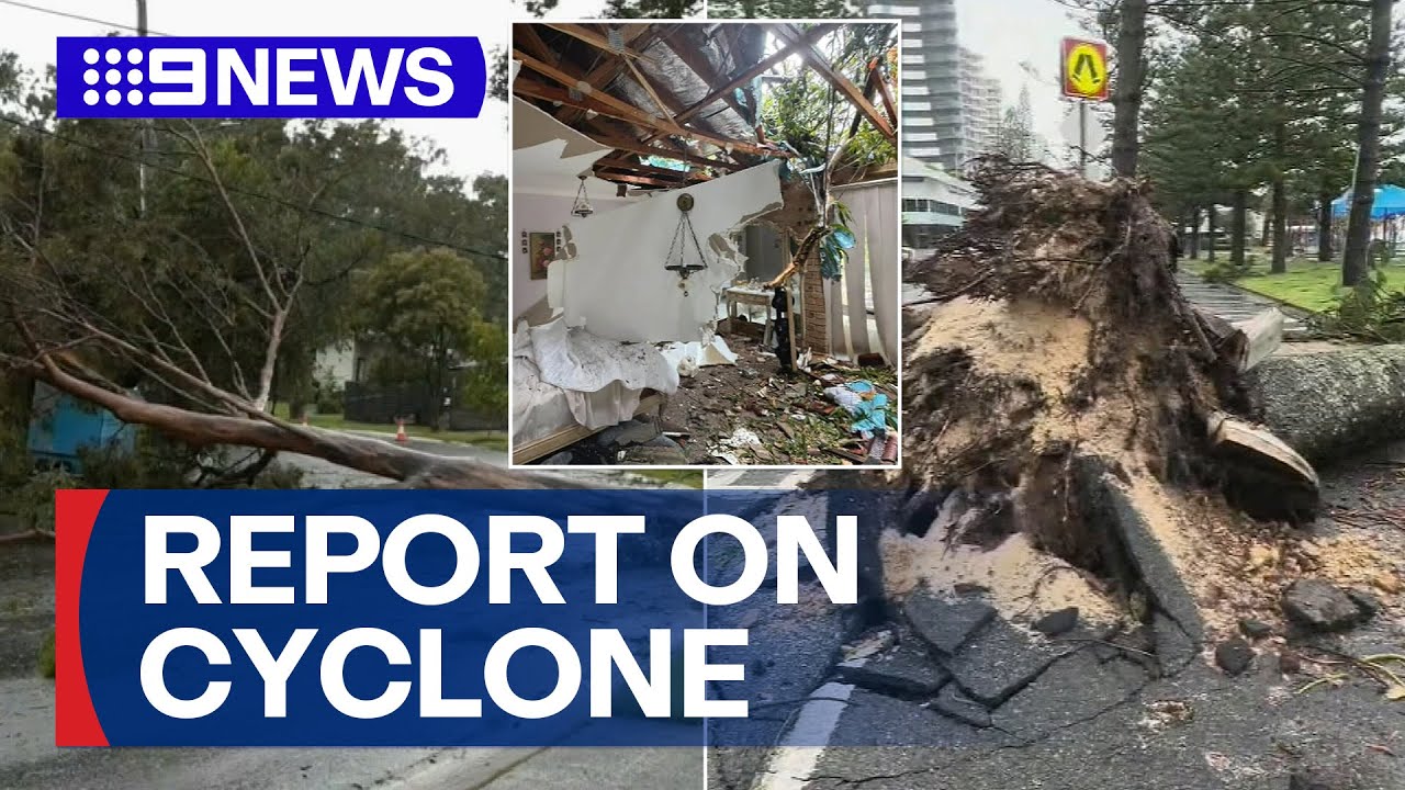 Queensland's Cyclone Alfred investigation findings | 9 News Australia