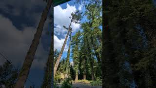 Big Pine Zipline East Coast Style
