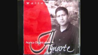 Video thumbnail of "Llegaste Tú / Walter Levi Jiménez"