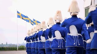 Великолепный шведский военный парад