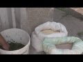 Особенности рациона домашних уток