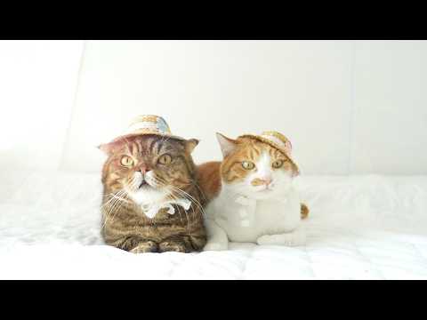 LuLu Salon EP.8 First Summer Vacation! (ENG SUB)
