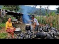 Wonderful local pig farming  evening activities of village nepal  db limbu