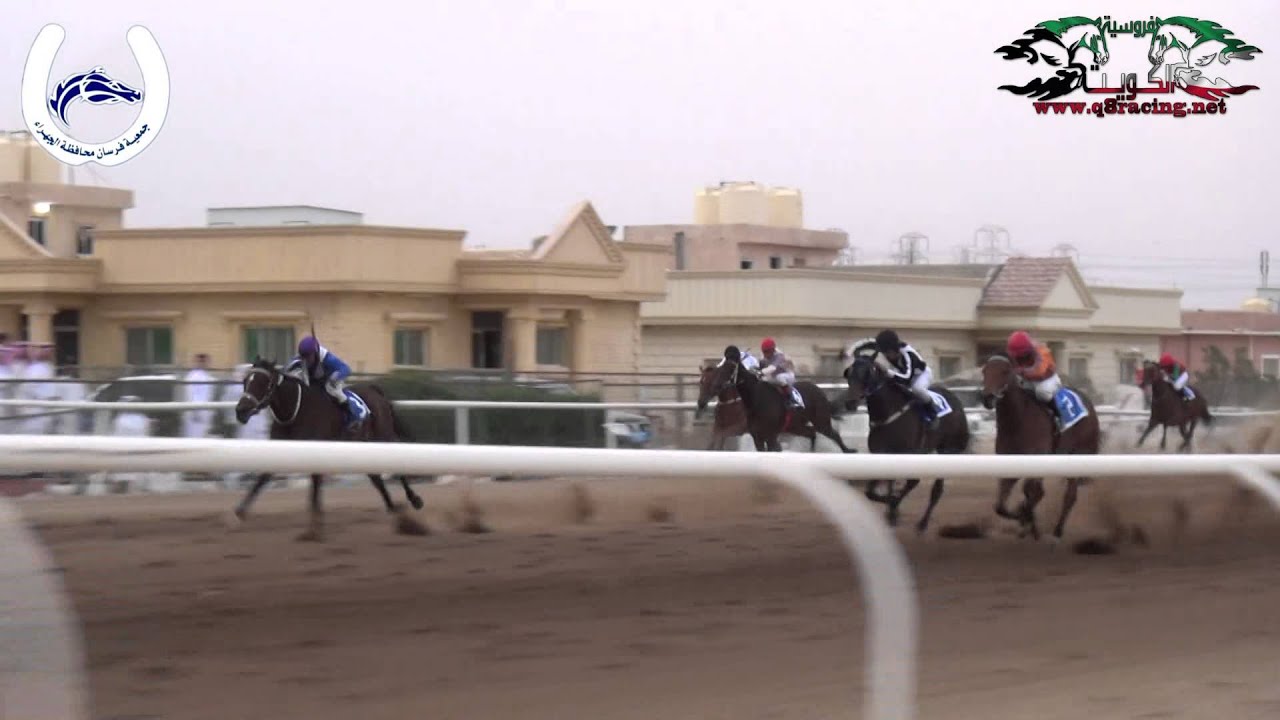 الفرس السيدة : لاسطبل خالد بن لامي