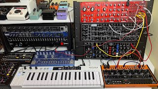 Mountain Spring - live analog synth performance