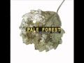 Pale Forest - Transformation Hymn