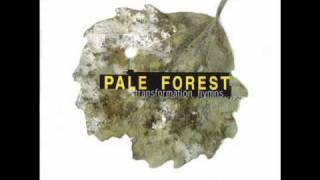 Watch Pale Forest Transformation Hymns video