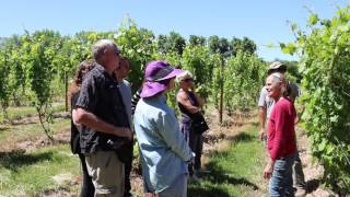 Vineyard discussion with our winemaker and vineyard manager