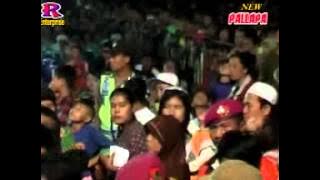 Kudamba-New Pallapa live in PETRAKA-PKL