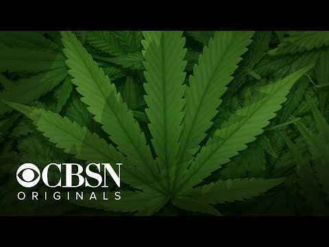 CBSN Originals | Tall Pot: The industrial takeover thumbnail