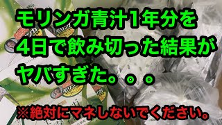 モリンガ青汁1年分を4日で飲み切った結果がヤバすぎた