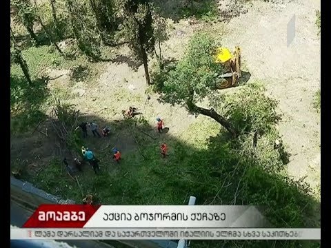 ბოჭორმის ქუჩის მაცხოვრებლები ხეების მოჭრას აპროტესტებენ