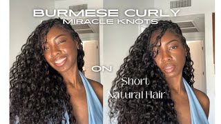 Burmese Curly Miracle knots on Short Natural Hair ft. ISEE Hair