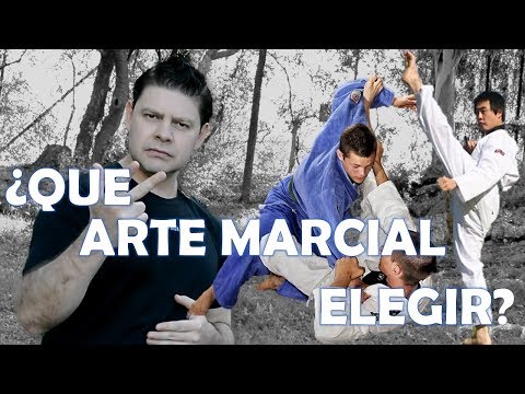 Video: Cómo Elegir Artes Marciales
