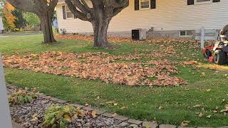 ariens ikon xl mulching leaves