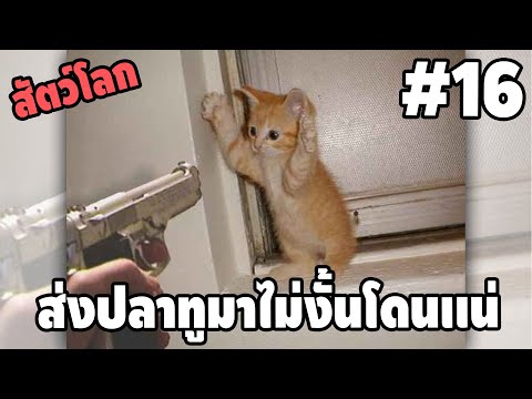 Ep.16 สัตว์โลกกวนตีน SS2 - [ พากย์นรก ] | easy boy