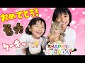 猫用ケーキでハッピーバースディ☆モカちゃん1歳の誕生日パーティ♡himawari-CH
