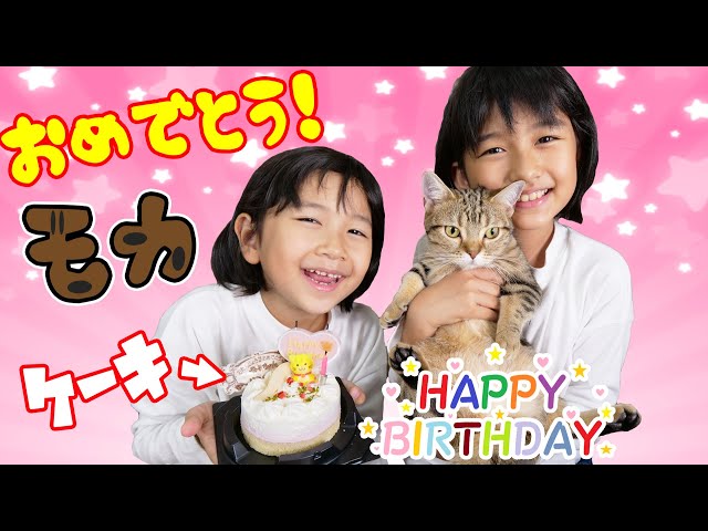 Happy birthday with cat cake ☆ Mocha's 1st birthday party