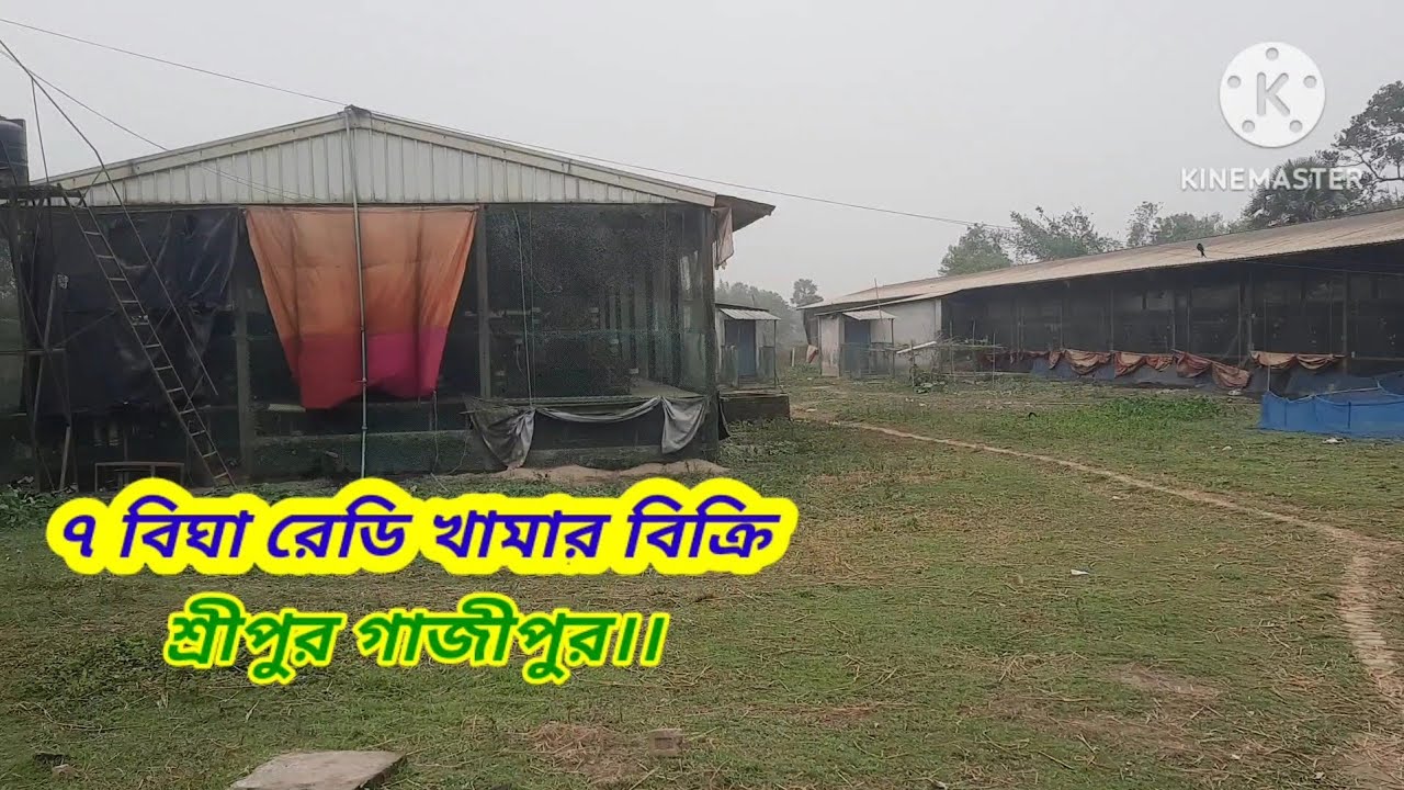 ৭ বিঘা রেডি খামার বিক্রি।। শ্রীপুর গাজীপুর।। 