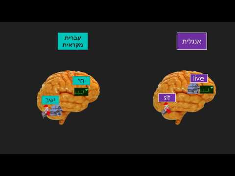 וִידֵאוֹ: האם לתת מודעים למשמעות?