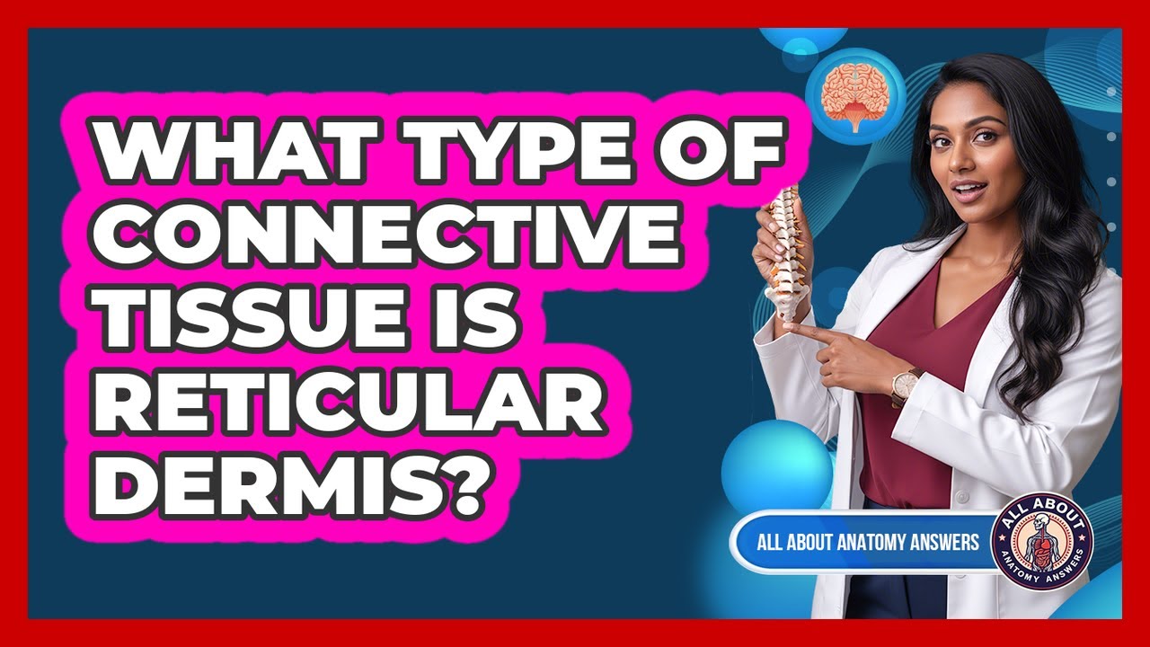 What Type of Connective Tissue Is Reticular Dermis?
