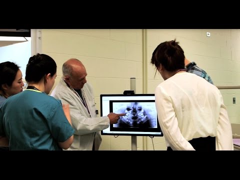 Pediatric Dentistry: NYU Dentistry Advanced Education Program