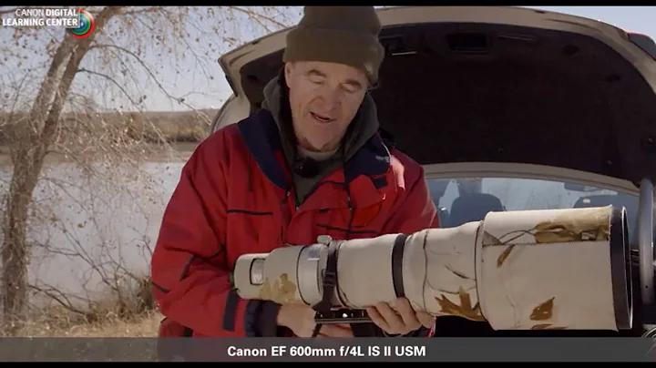 Canon: Bird Photography with Arthur Morris: Arthur...