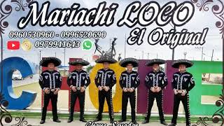 Mariachi LOCO El Original - (Chone) [Tú mejor opción]