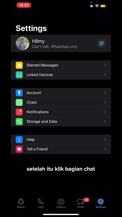 Cara Simpan Foto/Video WA Otomatis di iPhone