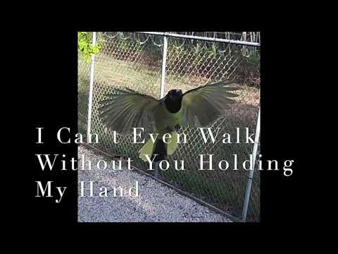 I Cant Even Walk