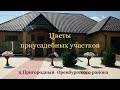 п Пригородный Цветы приусадебных участков