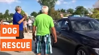 Man Breaks Window To Save Dog Trapped in Hot Car