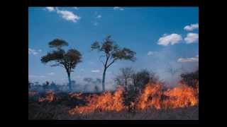 Video Naturaleza Muerta Raphael