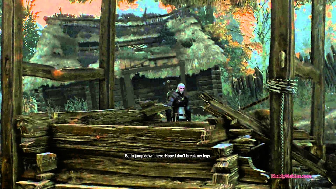 The Witcher Il Diavolo Al Pozzo