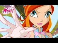 Winx club  30 minutes  histoire dun hros  bloom la fe de la flamme du dragon 