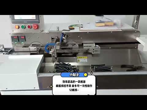 Fully Automatic Double-Head Tinning Machine Equipment